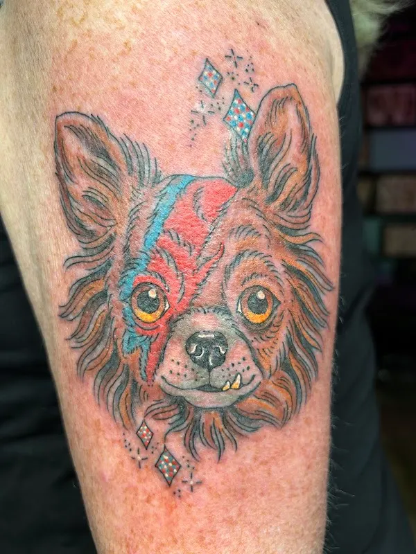 Black Tooth Tattoo — Tattoo shop in Akron